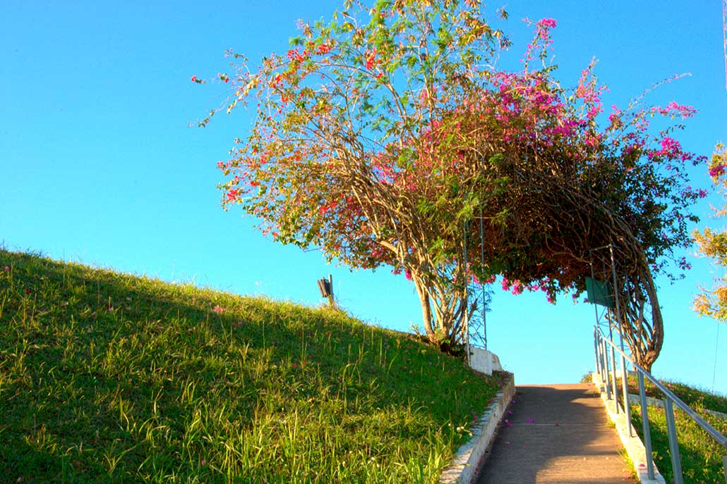 Galeria 3